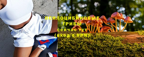 дурь Дмитров