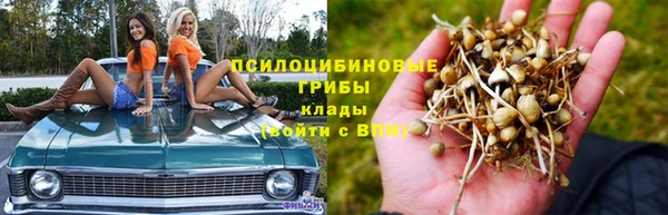 марихуана Дмитровск