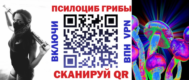 кракен зеркало  Заводоуковск  Псилоцибиновые грибы Magic Shrooms 